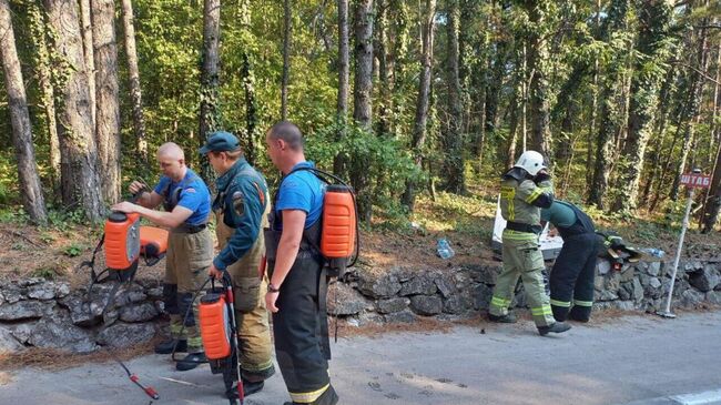 Спасатели на месте пожара в Ялтинском горно-лесном заповеднике