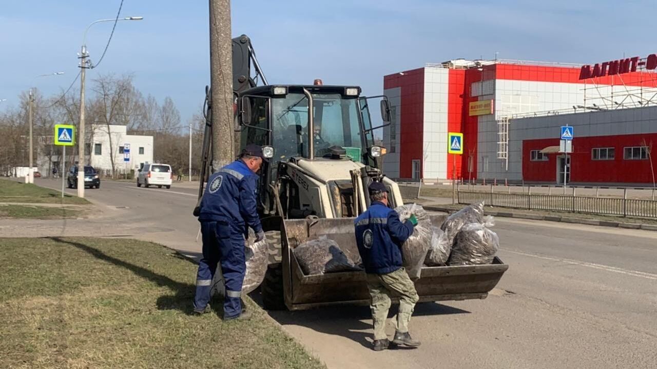 В Подмосковье появился сервис по заключению договора на вывоз мусора онлайн - РИА Новости, 1920, 19.08.2024