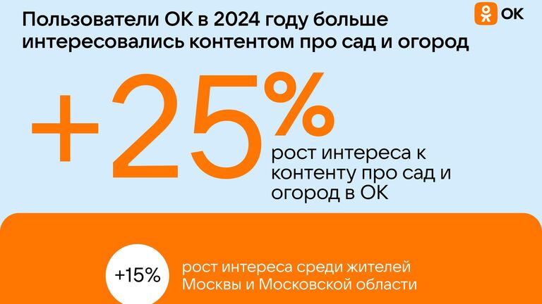 Россияне увеличили затраты на дачу, сад и огород в 2024 году