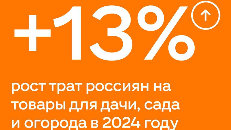 Россияне увеличили затраты на дачу, сад и огород в 2024 году