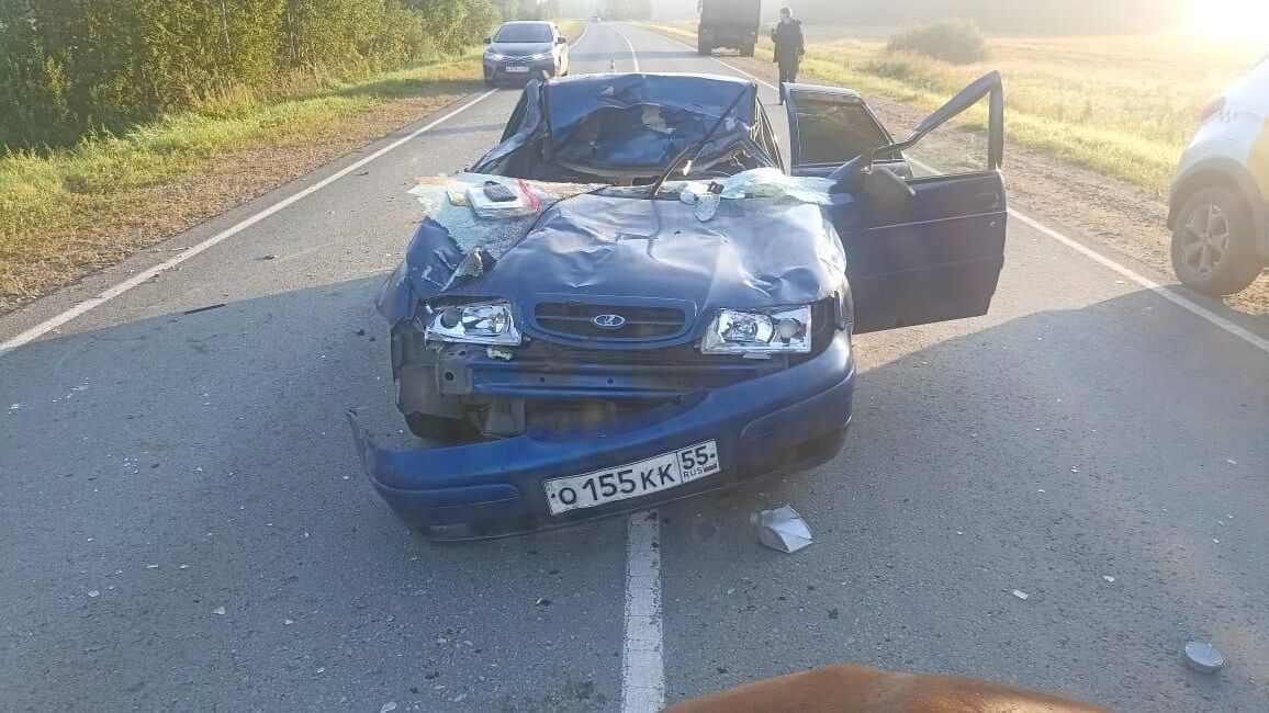 Автомобиль после столкновения с лошадью на автодороге Омск - Муромцево - РИА Новости, 1920, 22.08.2024