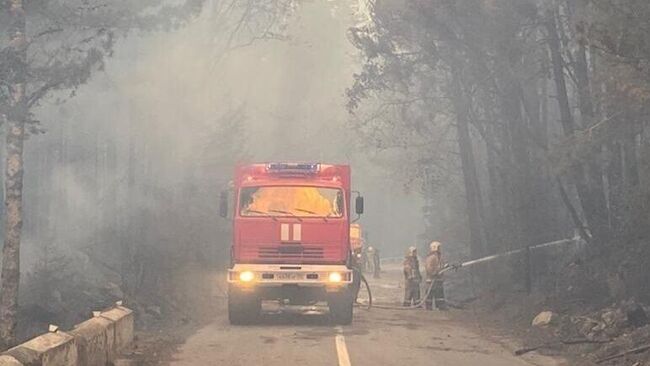 Ликвидация лесного пожара в горном ущелье Гоначхир в Карачаево-Черкесии. 22 августа 2024 года