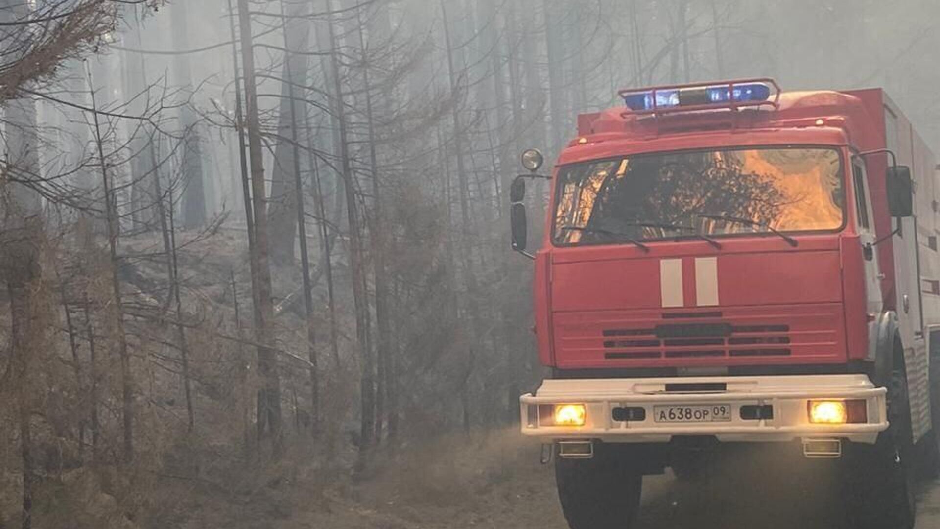 Ликвидация лесного пожара в горном ущелье Гоначхир в Карачаево-Черкесии. 22 августа 2024 - РИА Новости, 1920, 22.08.2024