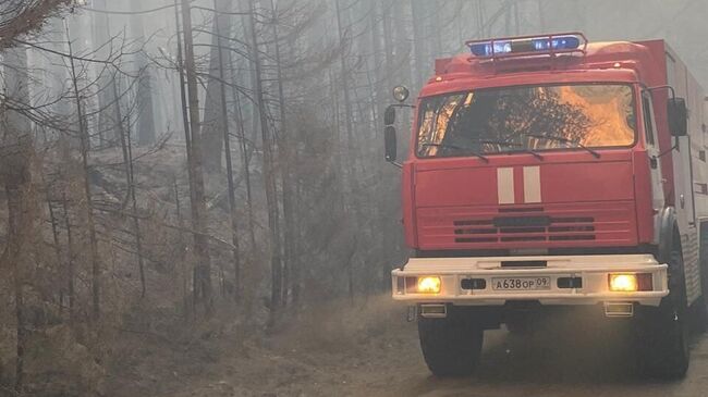 Ликвидация лесного пожара в горном ущелье Гоначхир в Карачаево-Черкесии. 22 августа 2024