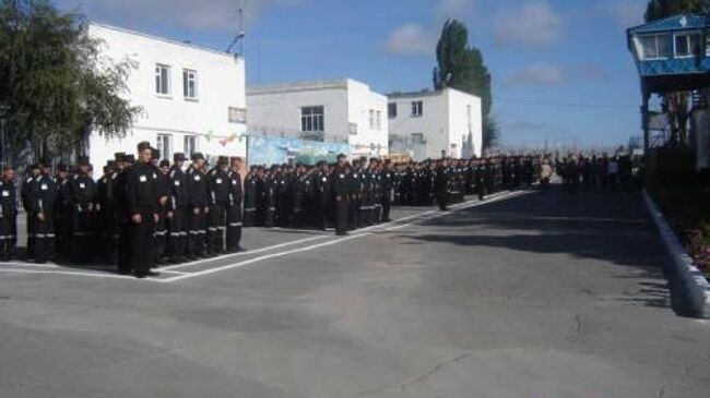 ИК-19 в Суровикино Волгоградской области. Архивное фото