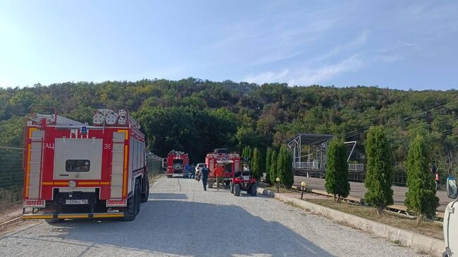 Пожарный расчет на месте лесного пожара в районе села Сукко под Анапой. 25 августа 2024