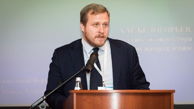 Директор по исследованиям и развитию Института энергетики и финансов Алексей Белогорьев
