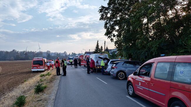 Спасатели на месте лесного пожара в районе Генсерндорф-Зюд, Австрия