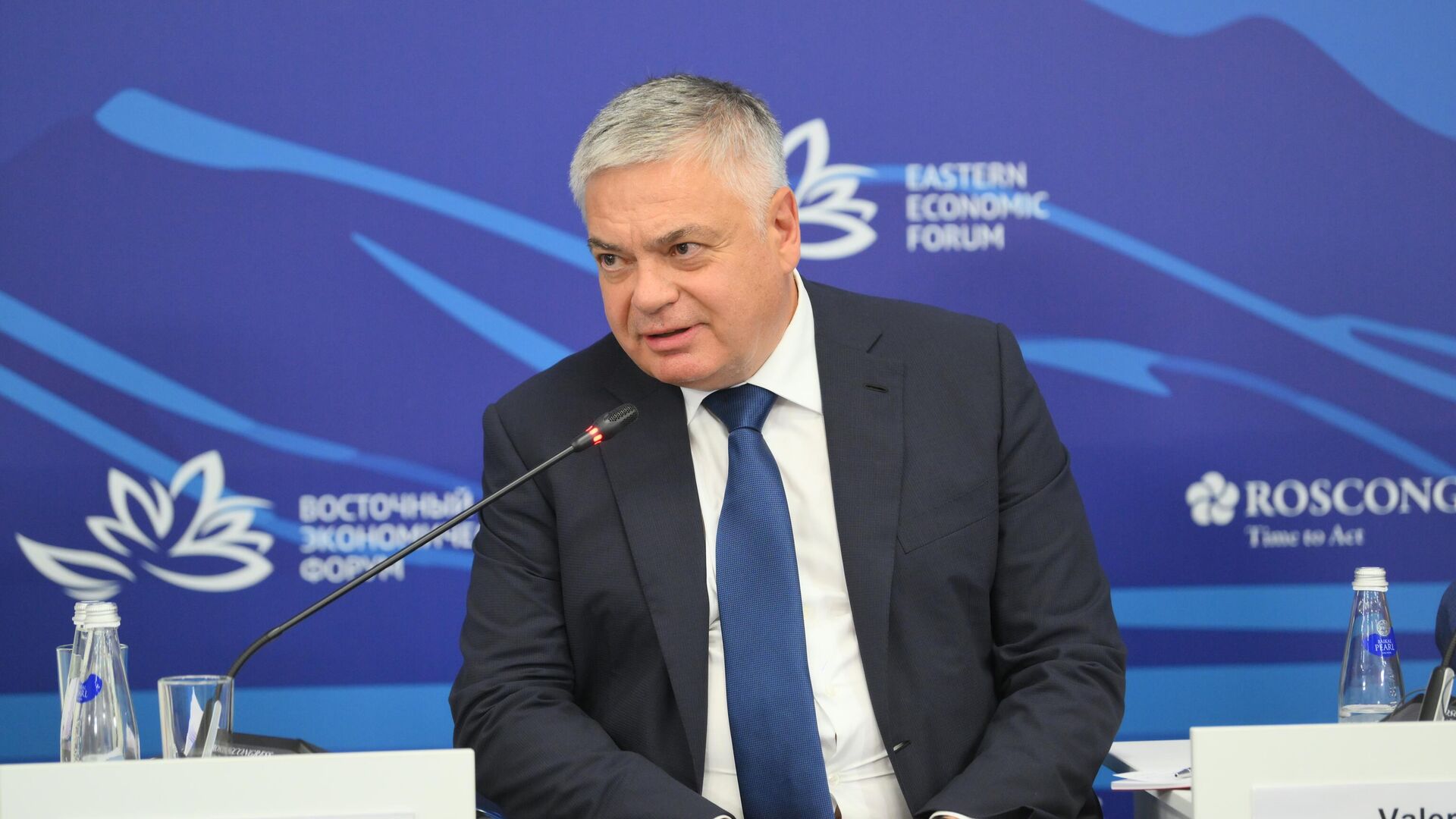 Сергей Шишкарёв, председатель совета директоров, ГК Дело - РИА Новости, 1920, 06.11.2025