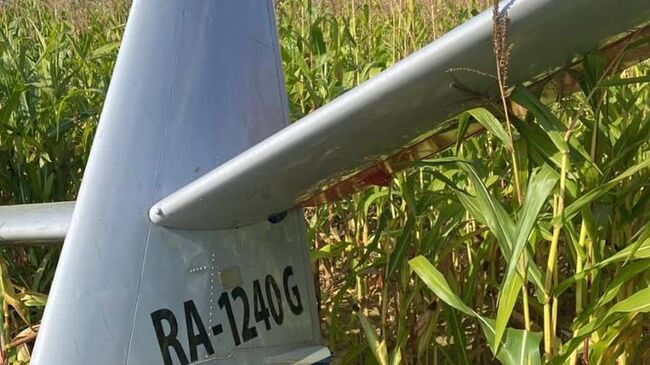 Место крушения легкомоторного самолета Алекс-251 в Подмосковье