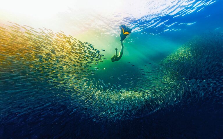 Работа фотографа Yue Hongjun из Китая, занявшая третье место в категории Human Connection Award: People & Planet Ocean конкурса Ocean Photographer of the Year 2024