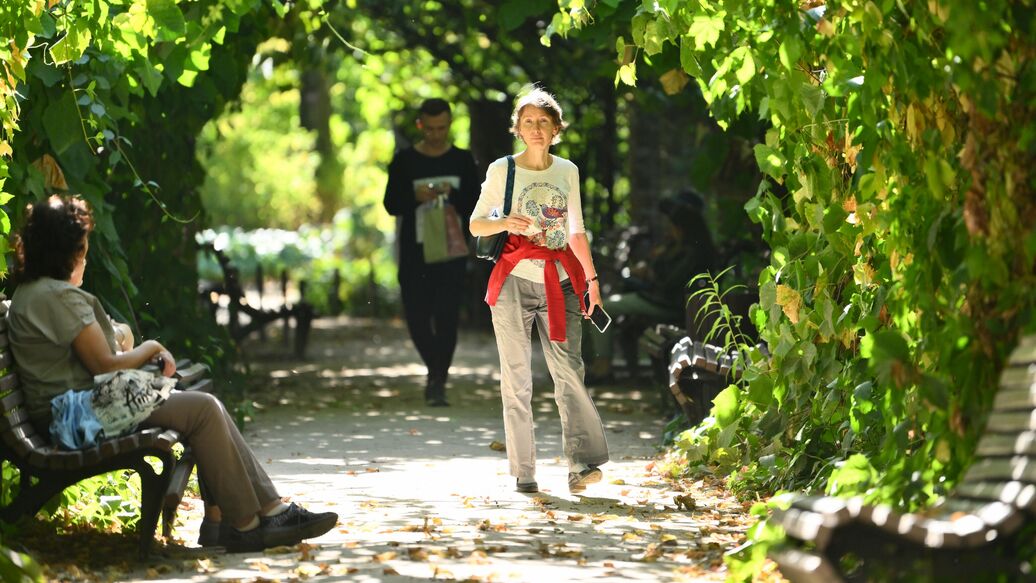 Вильфанд рассказал о комфортной погоде в центре России на следующей неделе