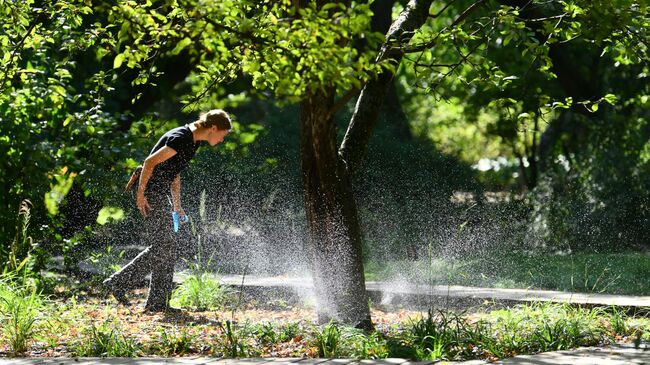 Девушка отдыхает в Аптекарском огороде в Москве
