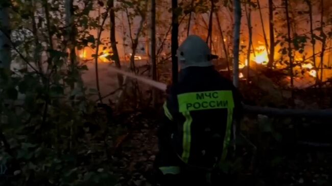 Тушение пожаров в Воронежской области