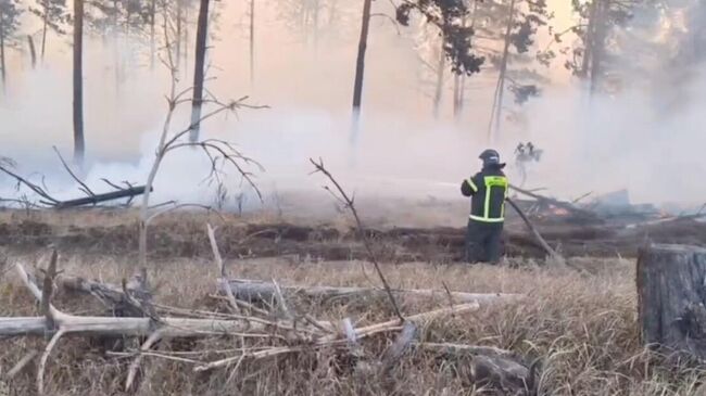 Ликвидация природного пожара в селе Ямное в Воронежской области. 17 сентября 2024