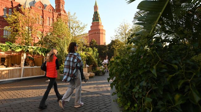 Теплый день в Москве