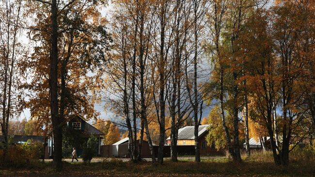 Деревянные дома в городе Онеге Архангельской области