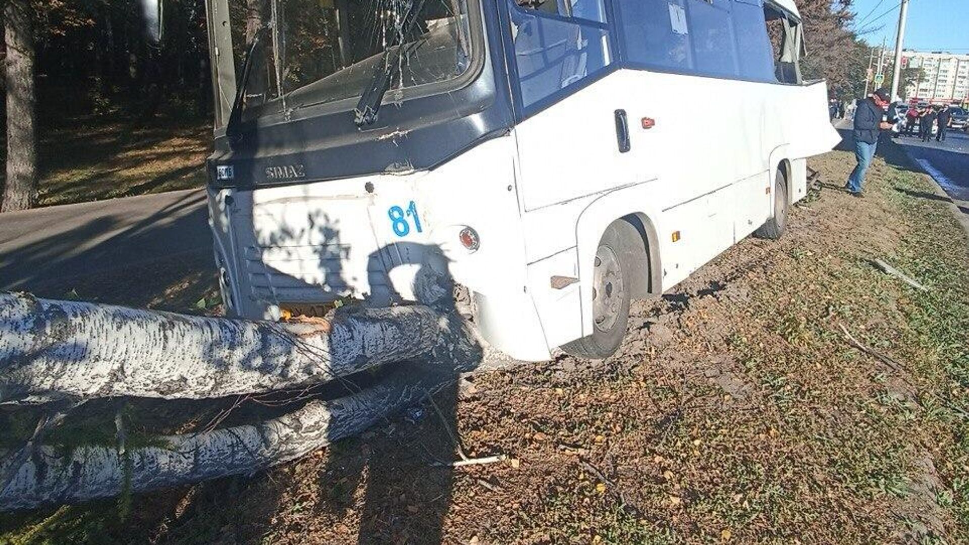 Место ДТП с участием пассажирского автобуса в Засвияжском районе Ульяновска. 25 сентября 2024 - РИА Новости, 1920, 25.09.2024