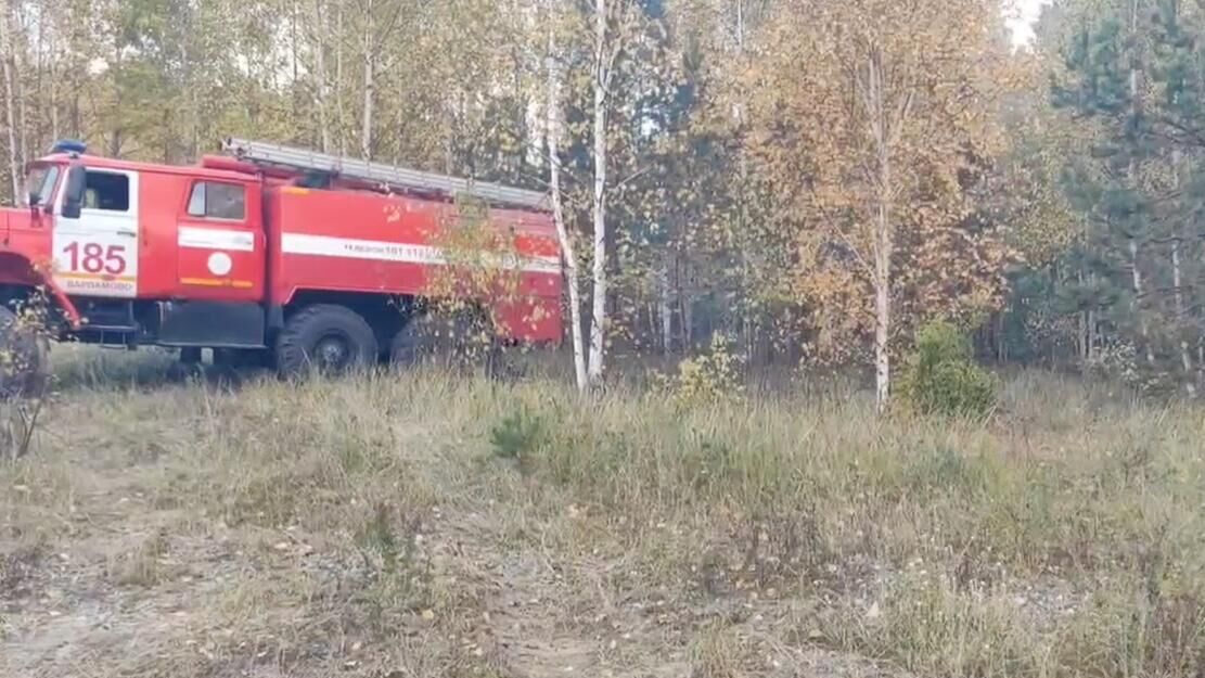 Место лесного пожара в районе населенного пункта Смолькино Сызранского района Самарской области. 28 сентября 2024 - РИА Новости, 1920, 29.09.2024