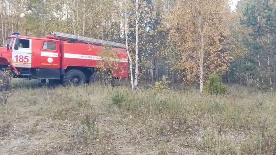 Место лесного пожара в районе населенного пункта Смолькино Сызранского района Самарской области. 28 сентября 2024 - РИА Новости, 1920, 29.09.2024