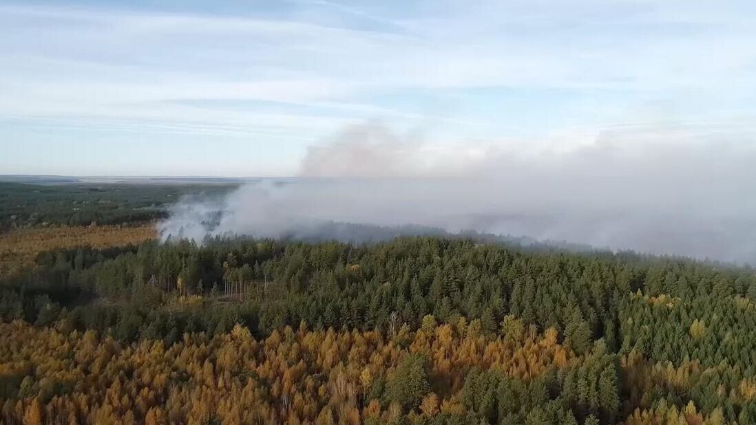 Лесной пожар в Сызранском районе Самарской области. 29 сентября 2024 - РИА Новости, 1920, 29.09.2024