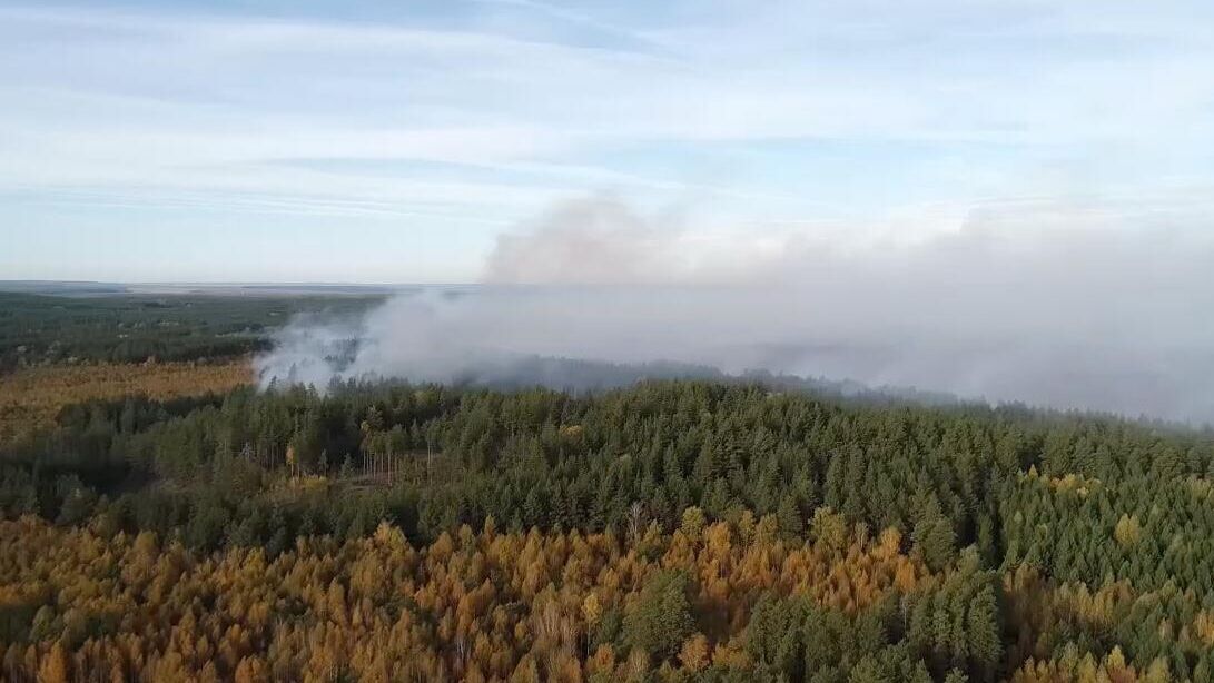 Лесной пожар в Сызранском районе Самарской области. 29 сентября 2024 - РИА Новости, 1920, 29.09.2024