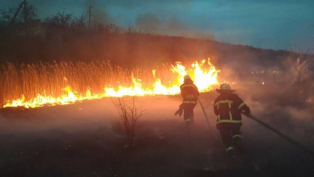 В Ростовской области ввели режим ЧС из-за пожаров
