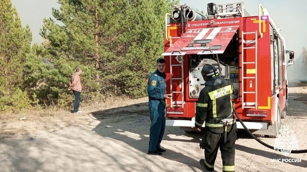 Спасатели на месте пожара в населенном пункте Тихий Угол  в Тамбовской области. 30 сентября 2024 - РИА Новости, 1920, 30.09.2024