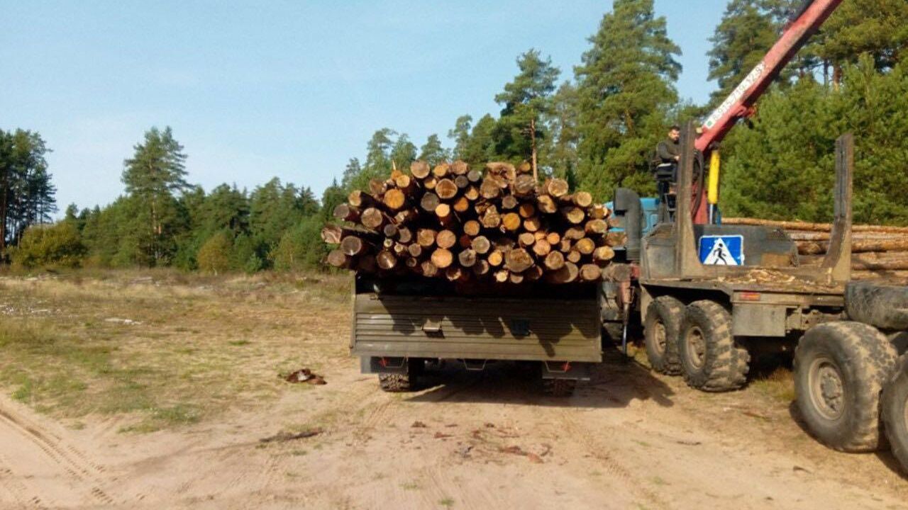 Тверская область направила в зону СВО новую партию пиломатериалов - РИА Новости, 1920, 03.10.2024