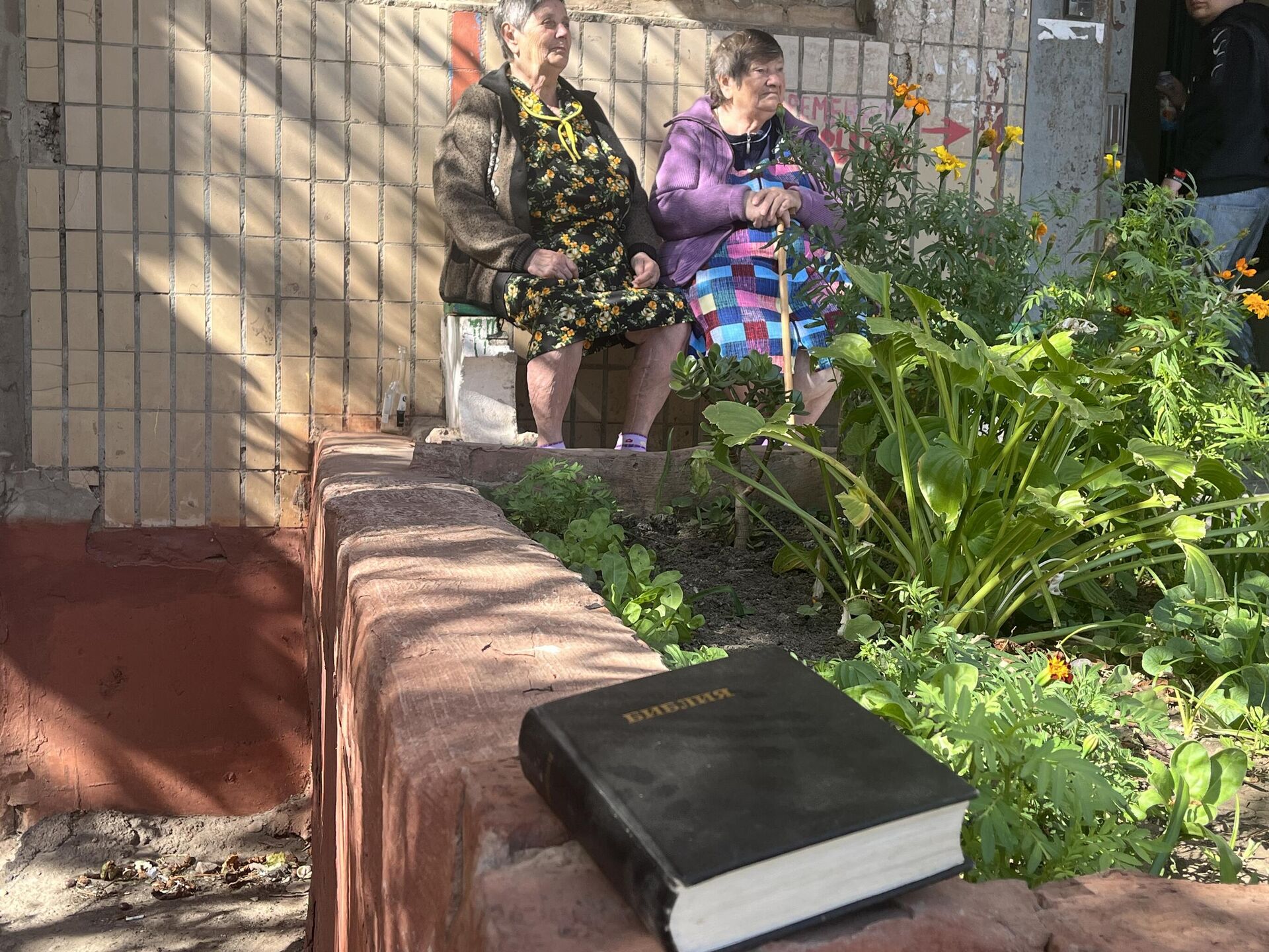 Пенсионерки сидят под козырьком подъезда рядом с надписью Убежище Пенсионерки сидят под козырьком подъезда рядом с надписью Убежище