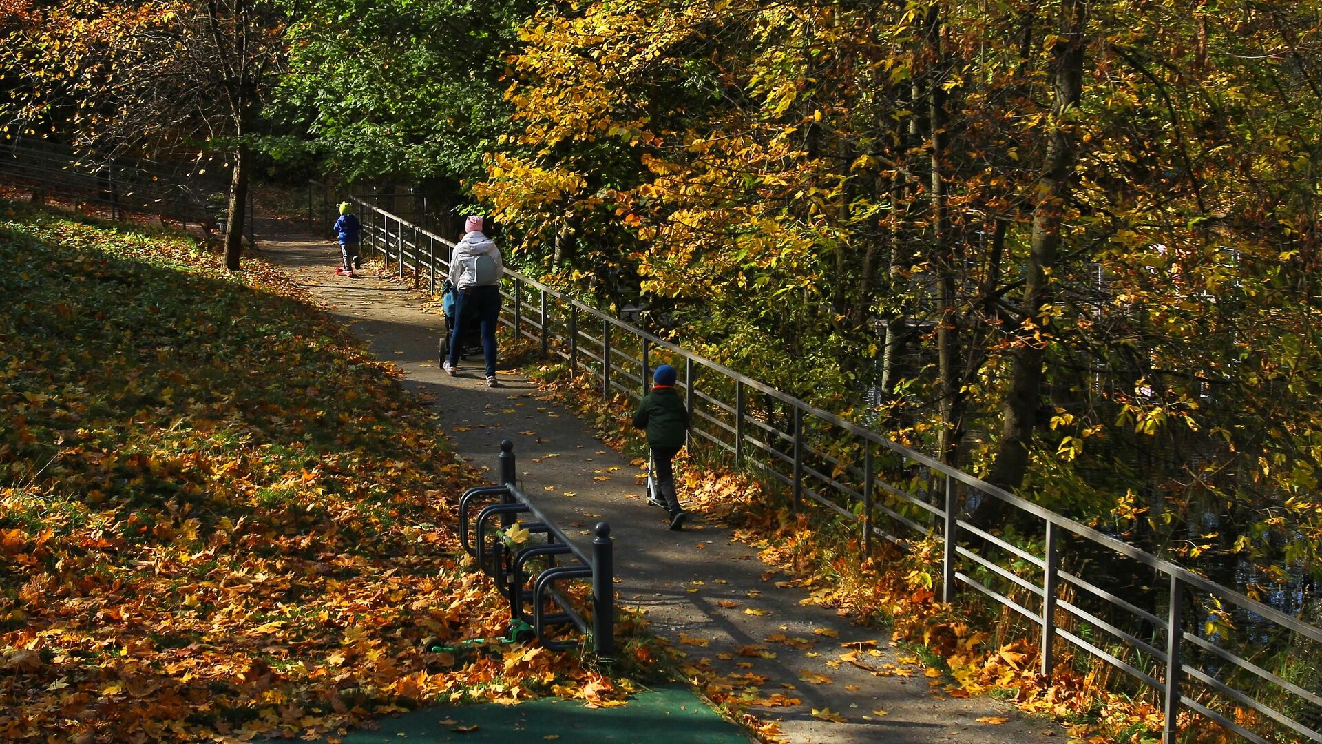 Люди гуляют в парке Сокольники в Москве - РИА Новости, 1920, 14.11.2025