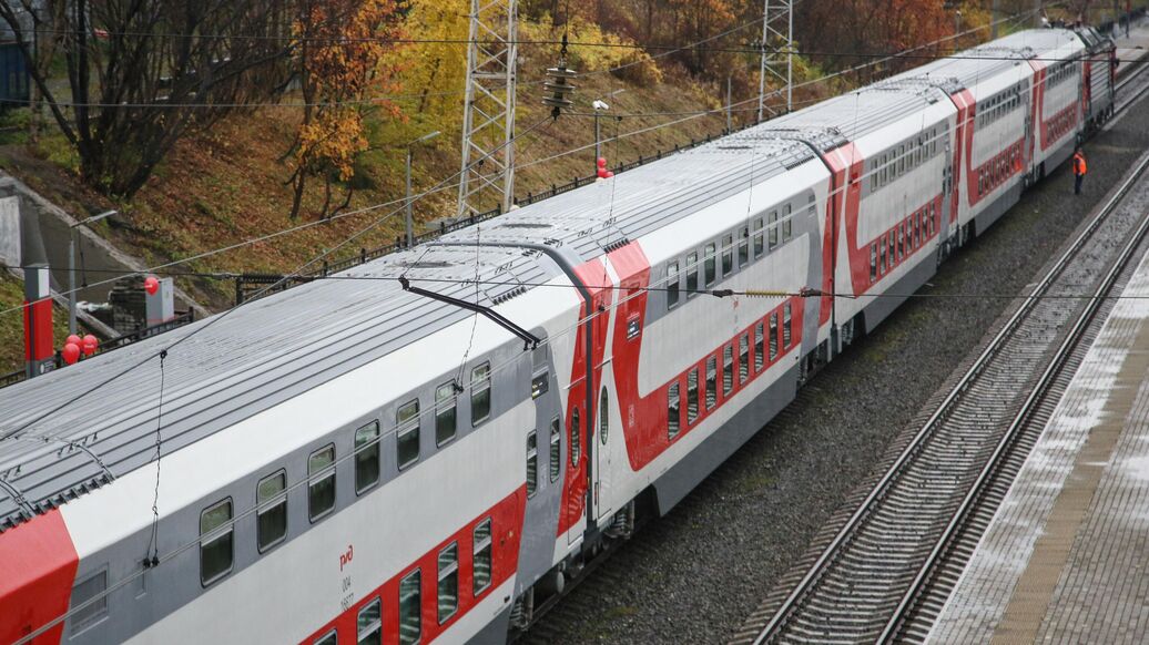 В поездах ФПК разрешат провозить животных без выкупа всех мест