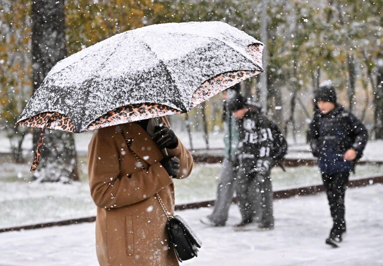 Женщина во время снегопада на одной из улиц Москвы