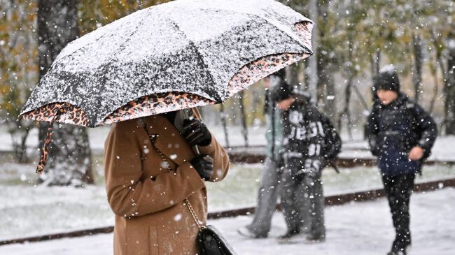 Женщина во время снегопада на одной из улиц Москвы