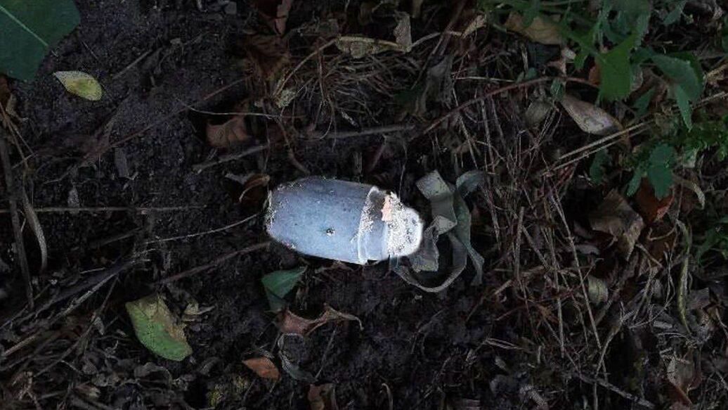 © Фото :  Настоящий Гладков/Telegram<br>Мина 