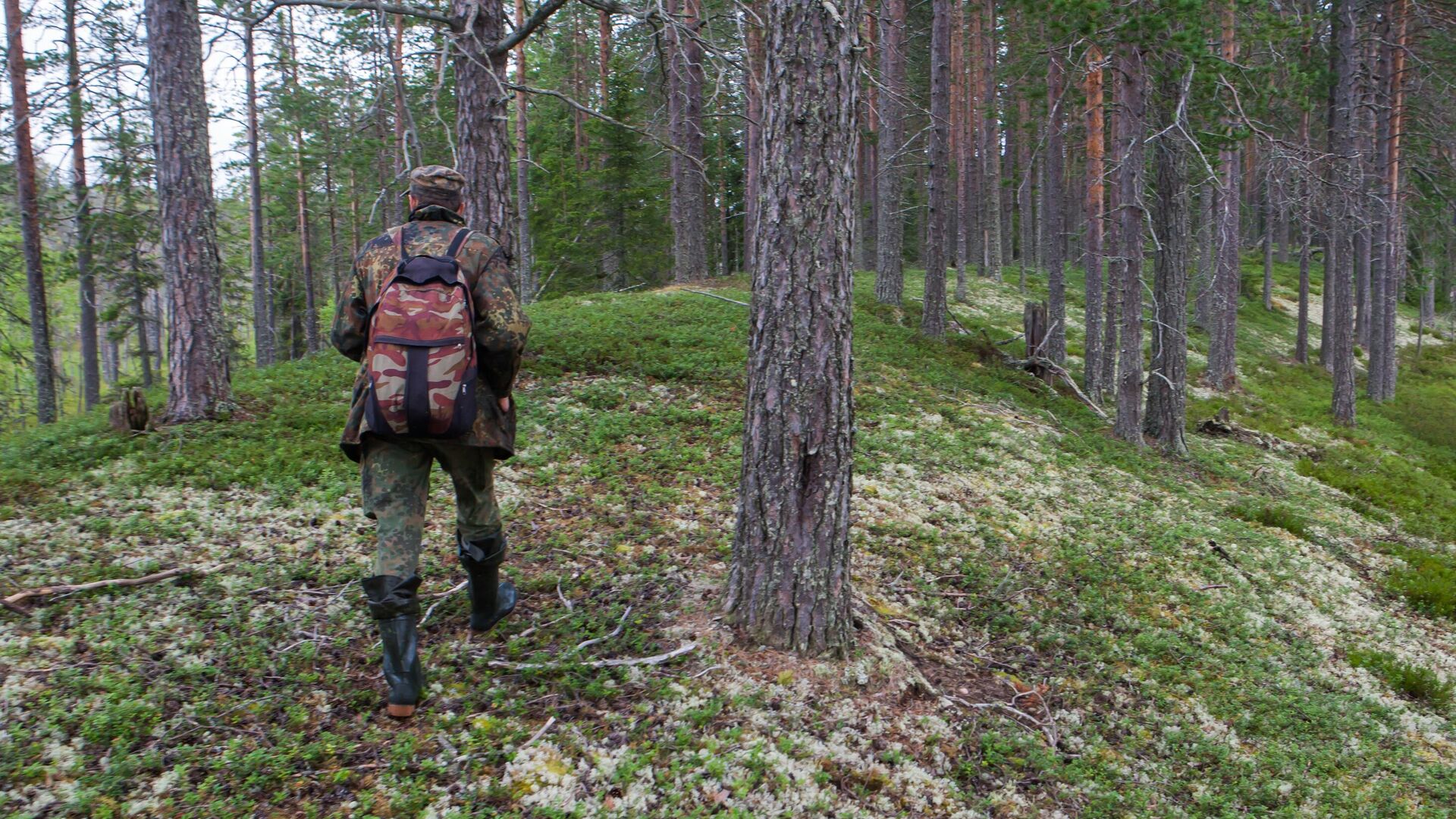 Сотрудник Водлозерского национального парка в Архангельской области - РИА Новости, 1920, 23.10.2024