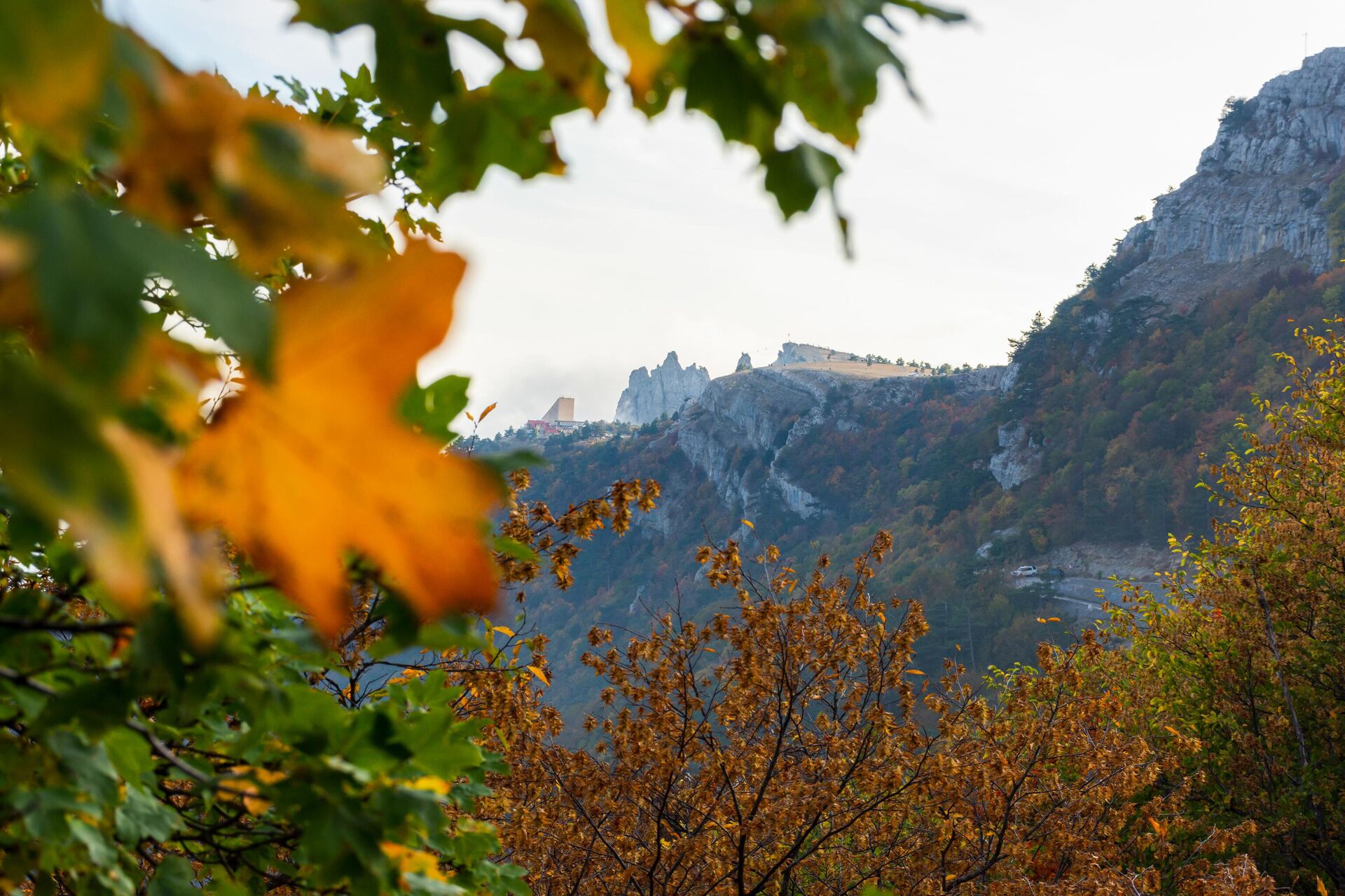 Осень в Крыму - РИА Новости, 1920, 23.10.2024