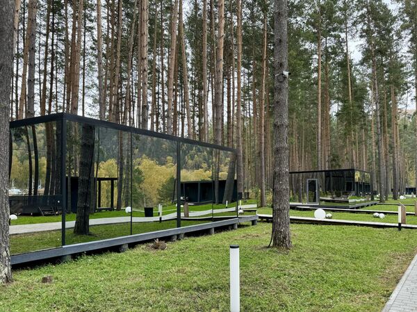 В отеле Pinewood Resort, Республика Алтай В отеле Pinewood Resort, Республика Алтай