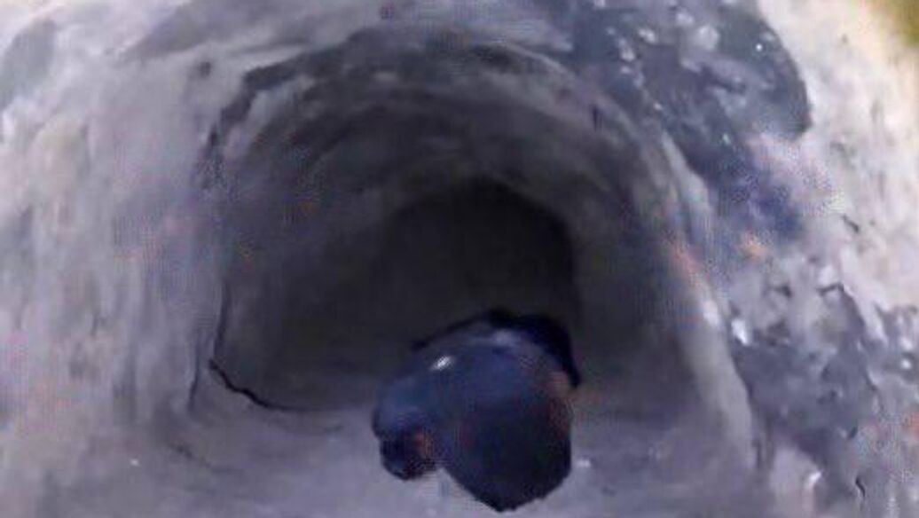 СМИ показали фото туннеля, выкопанного заключенными в Липецкой области