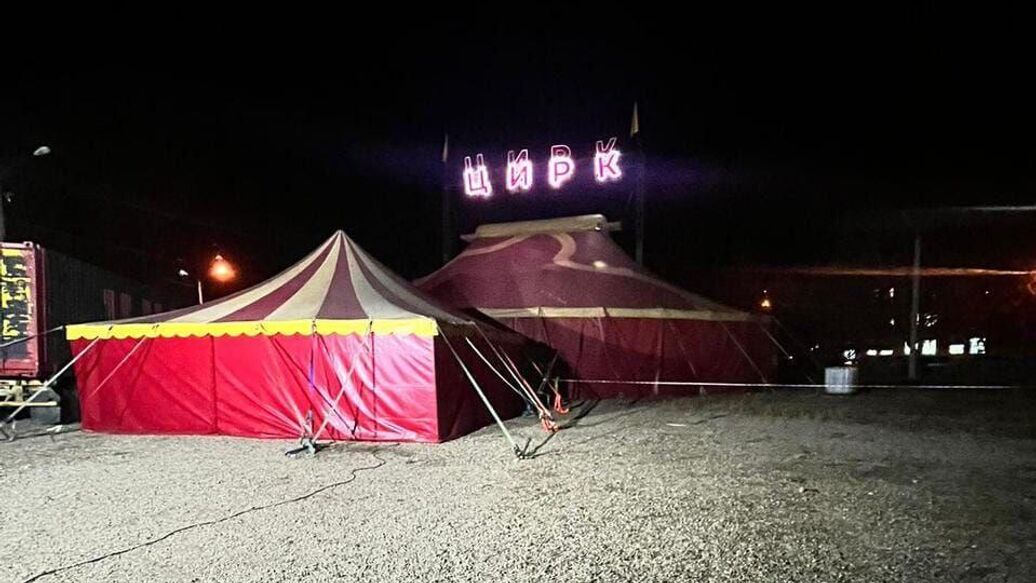 В Ангарске прекратили дело владельца цирка, где на ребенка напала пантера