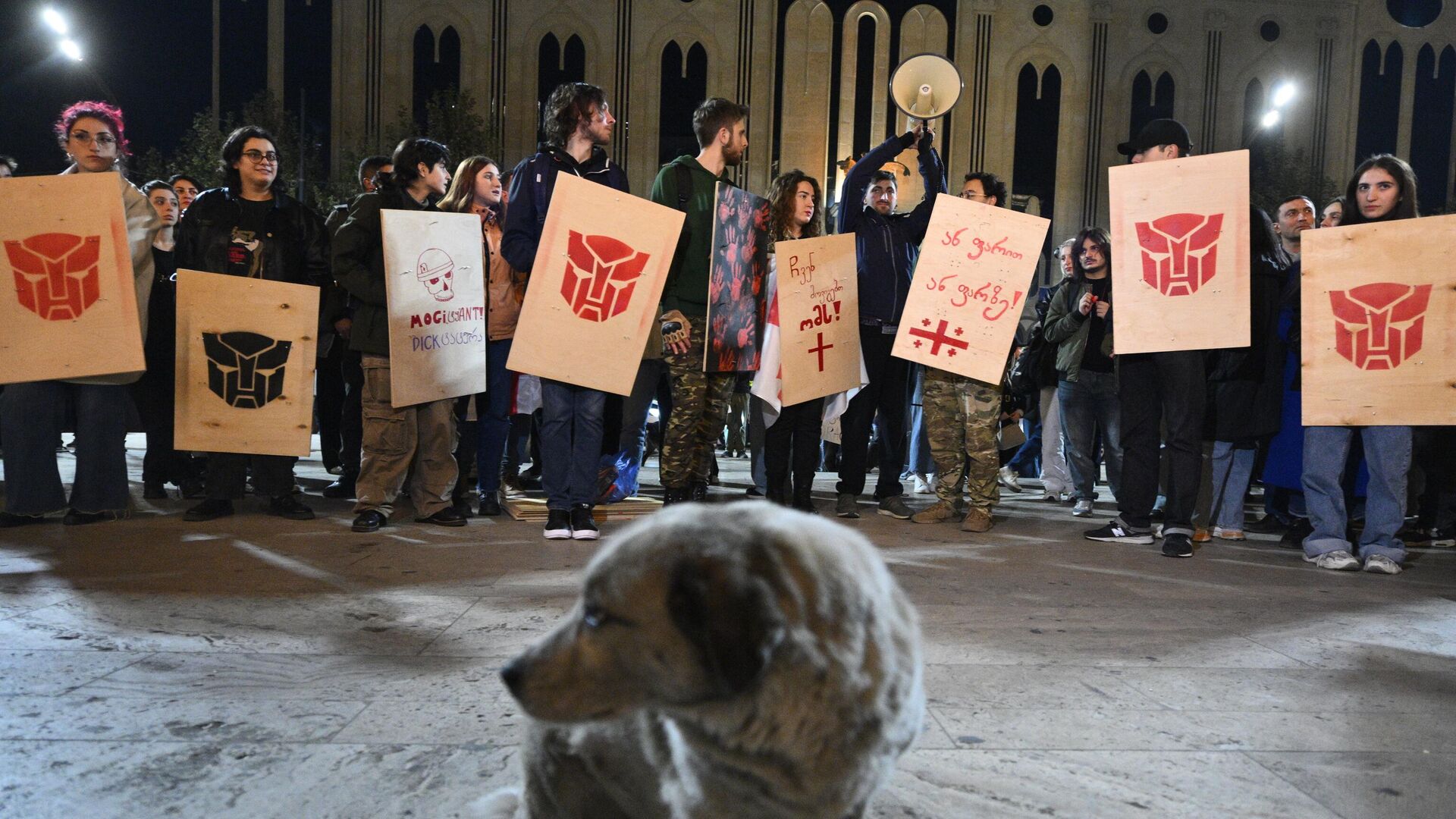 Акция протеста грузинской оппозиции, недовольной итогами парламентских выборов, в центре Тбилиси - РИА Новости, 1920, 29.10.2024