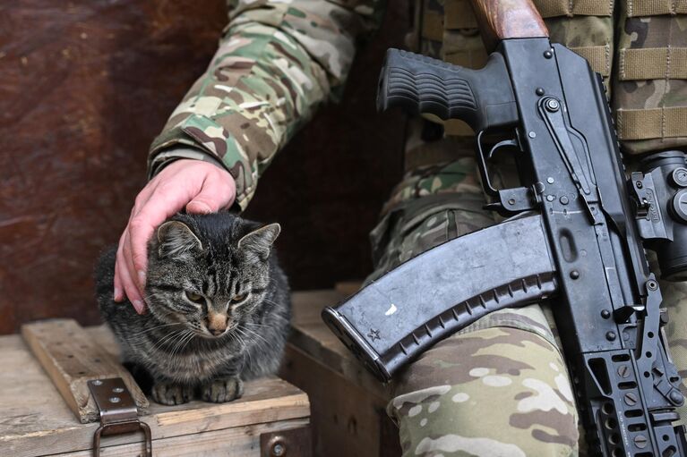 Военнослужащий 1430-го гвардейского мотострелкового полка ВС РФ гладит кота на Запорожском направлении специальной военной операции