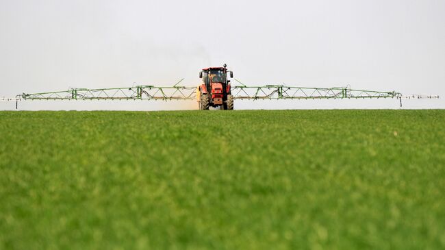 Трактор занимается удобрением озимых зерновых культур Трактор занимается удобрением озимых зерновых культур