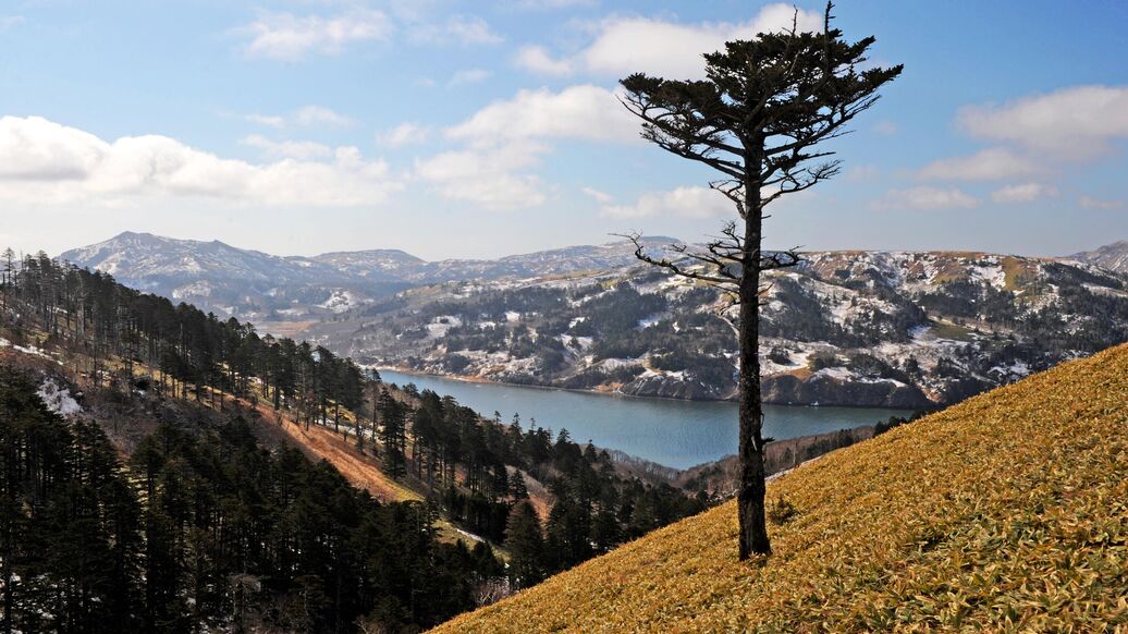 У южных Курил произошло землетрясение