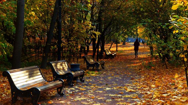 Осень в Москве