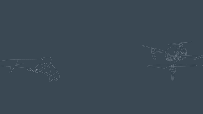 Кадры для беспилотных авиационных систем V2