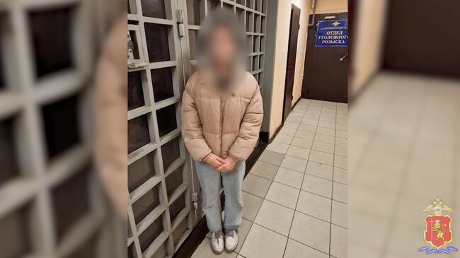 Жительница Владимирской области извинилась за видео, в котором она заявила, что собирается устроить теракт в Крокус Сити Холле