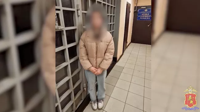 Жительница Владимирской области извинилась за видео, в котором она заявила, что собирается устроить теракт в Крокус Сити Холле