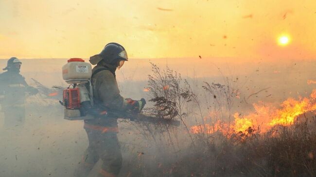 Ликвидация природного пожара в в Усть-Абаканском районе Хакасии. 12 ноября 2024