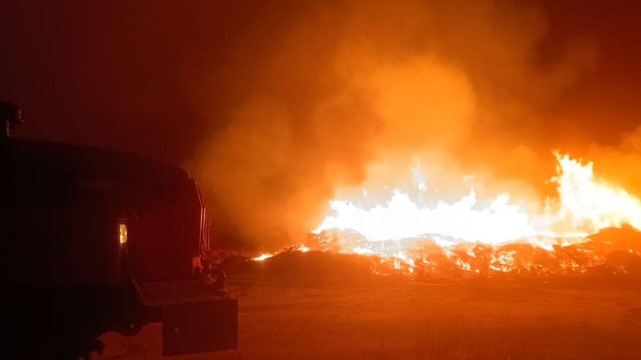 Тушение пожара на пилораме в поселке Первомайский Свердловской области - РИА Новости, 1920, 13.11.2024